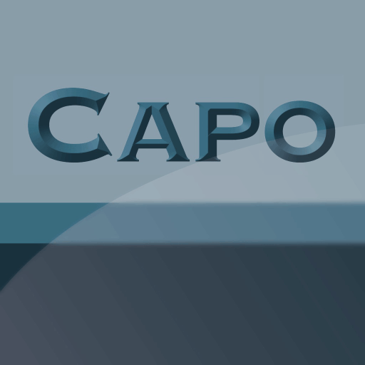 (c) Capo-systems.com